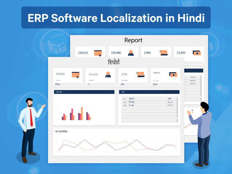ERP Software Localization in Hindi – Case study