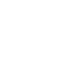 avi
