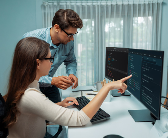 IT Software development resources on Contract