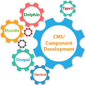 Open-Source CMS and Component Development Services