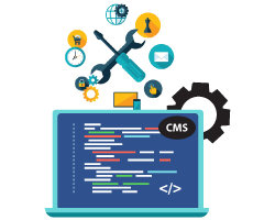CMS Support and Maintenance
