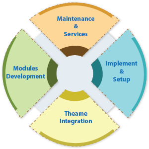 Drupal Intranet Development Services