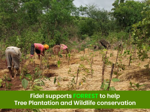 Fidel to Support FORREST to help Tree Plantation and Wildlife conservation – CSR Activity
